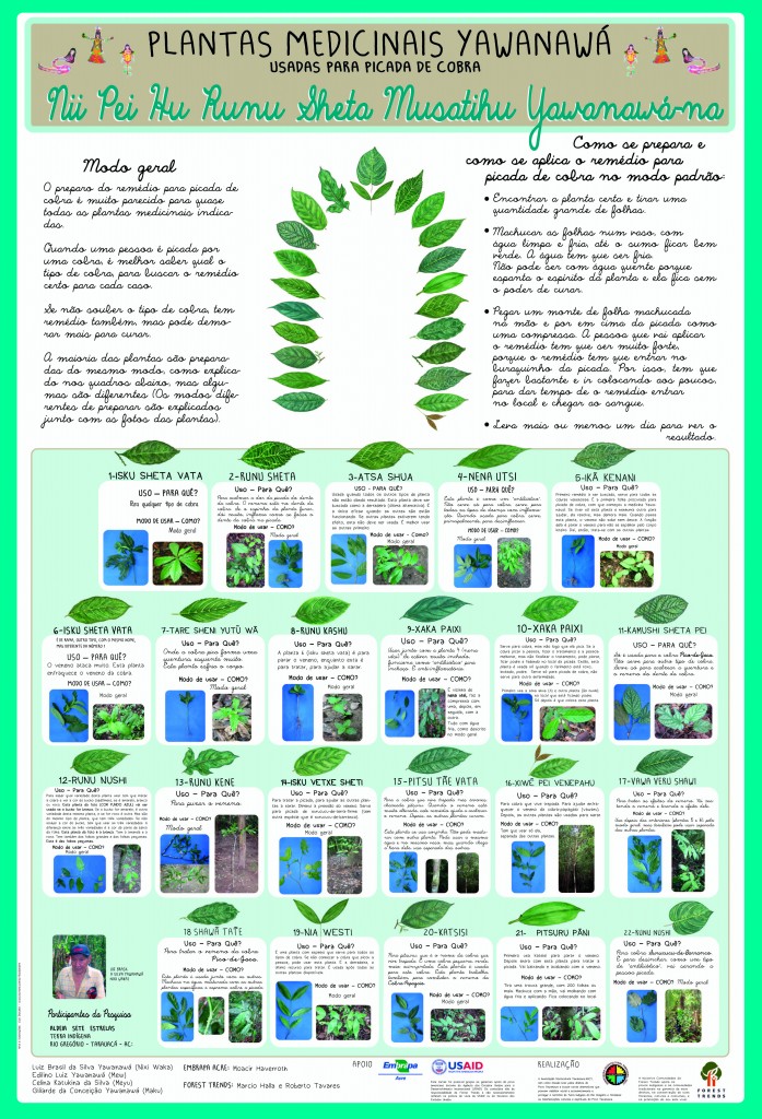 CatazPlantasPRONTO-2-4